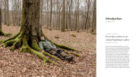The Hidden Life of Trees: The Illustrated Edition (David Suzuki Institute)