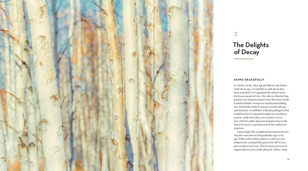 The Hidden Life of Trees: The Illustrated Edition (David Suzuki Institute)