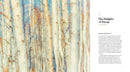The Hidden Life of Trees: The Illustrated Edition (David Suzuki Institute)