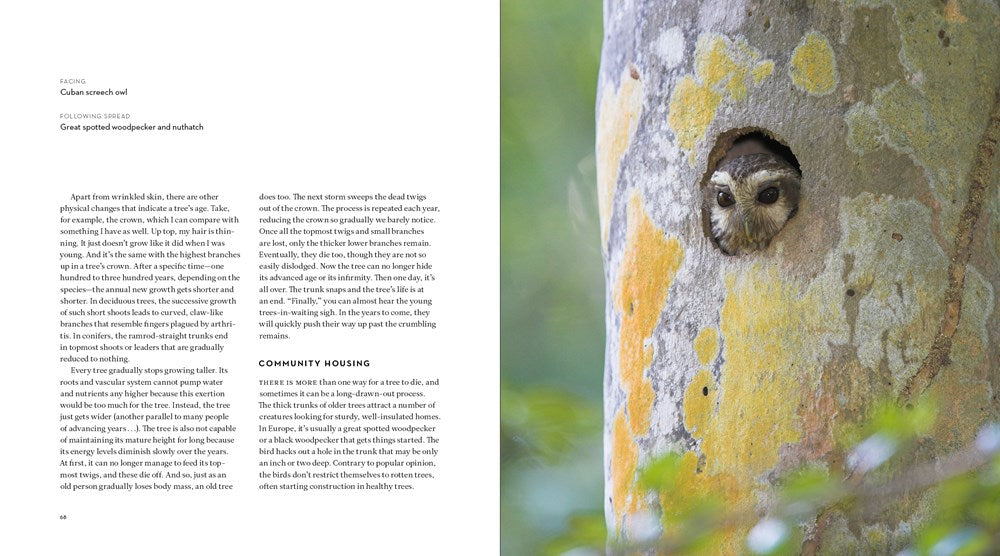 The Hidden Life of Trees: The Illustrated Edition (David Suzuki Institute)
