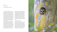 The Hidden Life of Trees: The Illustrated Edition (David Suzuki Institute)