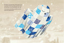 The Little Ghost Quilt's Winter Surprise (A Little Ghost Quilt Book)