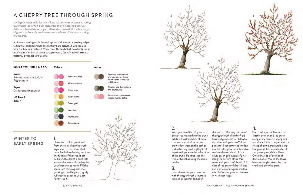 A Year of Watercolour: A seasonal guide to botanical watercolour painting