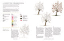 A Year of Watercolour: A seasonal guide to botanical watercolour painting