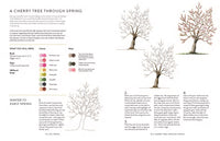 A Year of Watercolour: A seasonal guide to botanical watercolour painting