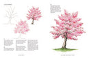 A Year of Watercolour: A seasonal guide to botanical watercolour painting