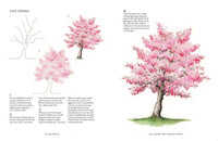 A Year of Watercolour: A seasonal guide to botanical watercolour painting