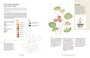 A Year of Watercolour: A seasonal guide to botanical watercolour painting
