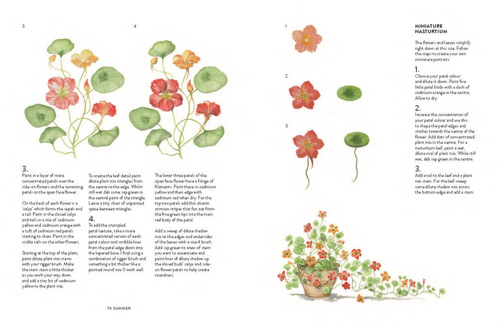 A Year of Watercolour: A seasonal guide to botanical watercolour painting