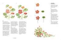 A Year of Watercolour: A seasonal guide to botanical watercolour painting