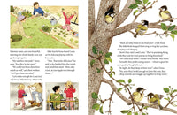 A Year in Our New Garden