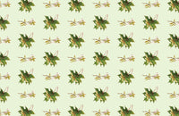 A Year in Our New Garden