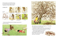 A Year in Our New Garden