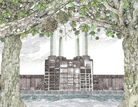 Around the World in 80 Trees