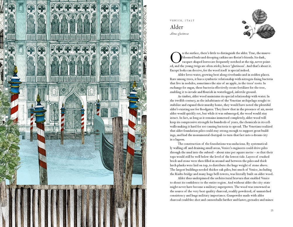 Around the World in 80 Trees