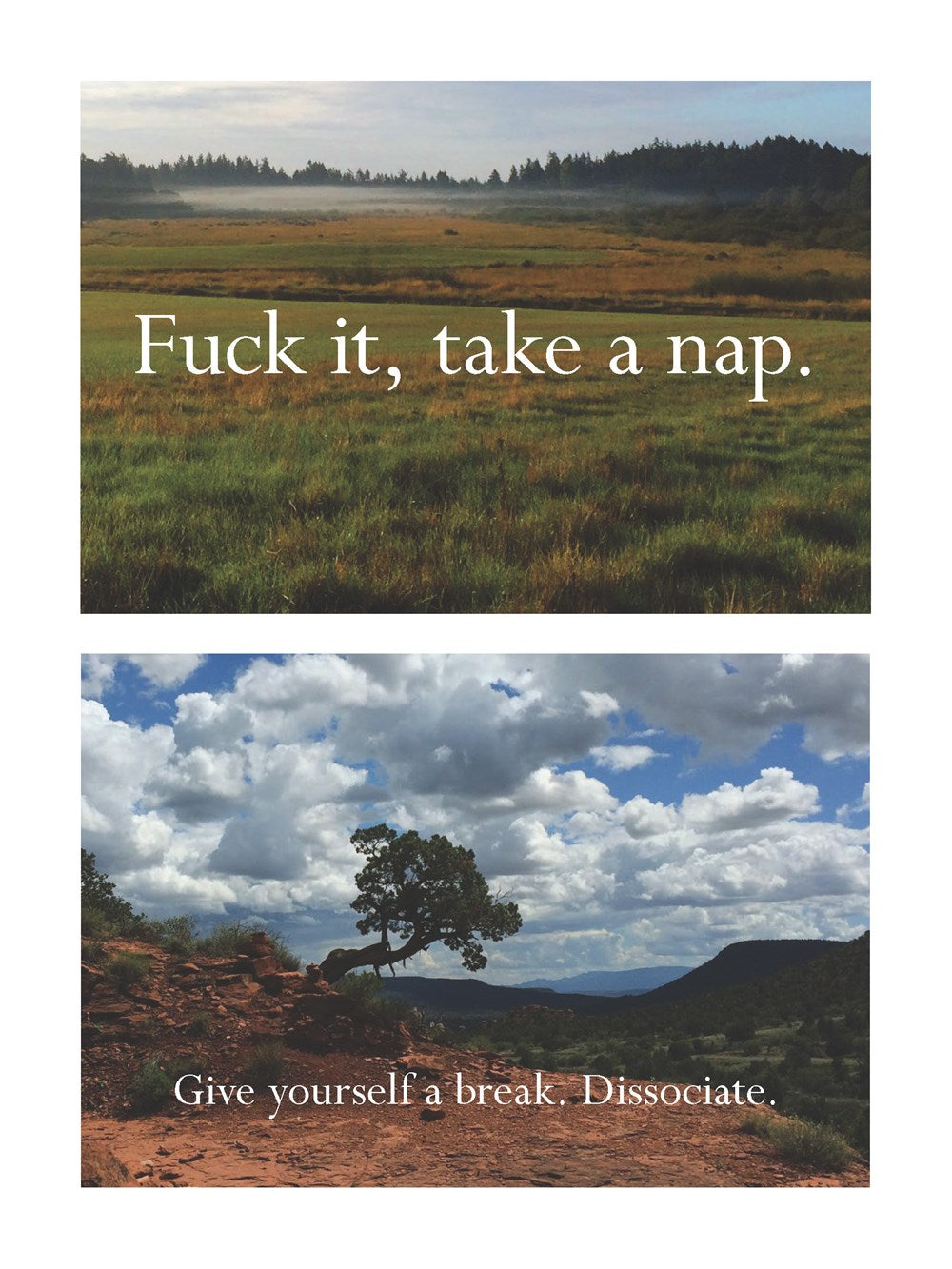Disappointing Affirmations Sticker Book: 100+ Stickers to Stick Wherever