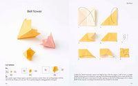 Simple Origami: Over 50 pretty paper folding projects