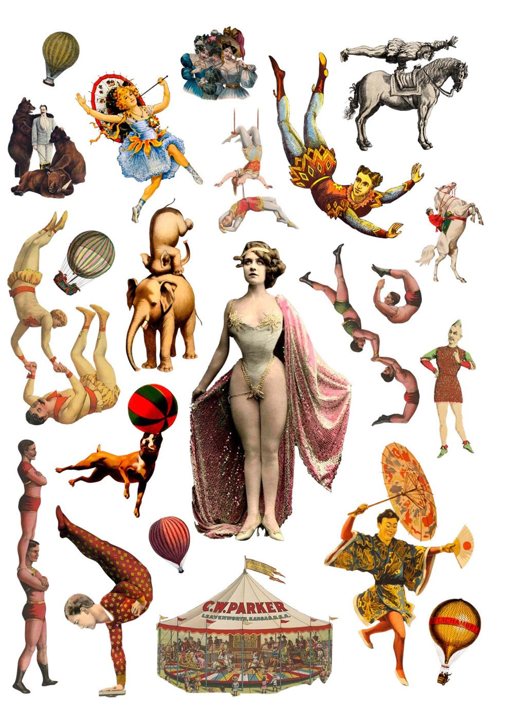 Cut Up This Book and Create Your Own Wonderland: 1,000 Unexpected Images for Collage Artists