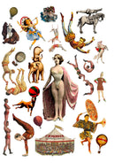 Cut Up This Book and Create Your Own Wonderland: 1,000 Unexpected Images for Collage Artists