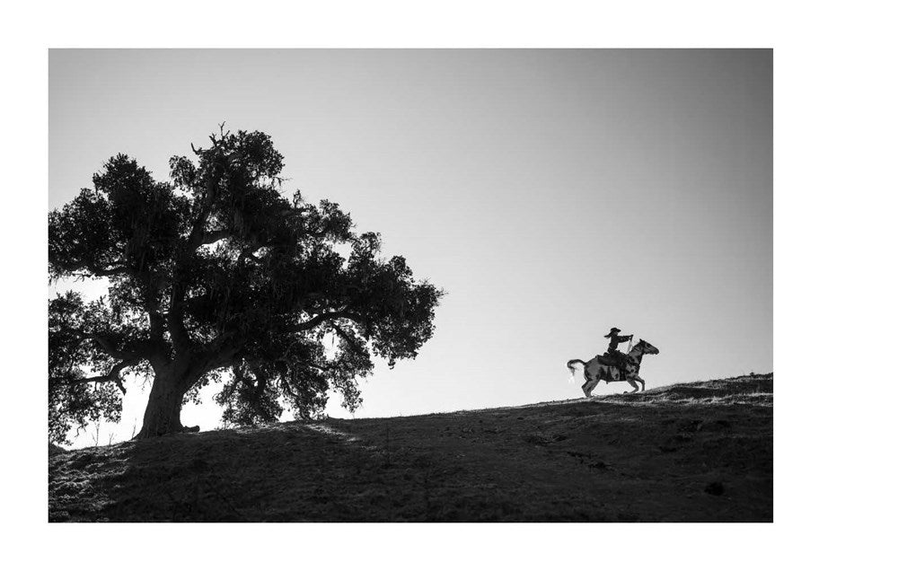 American Cowboys