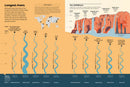 Britannica's Encyclopedia Infographica: 1,000s of Facts & Figures―about Earth, space, animals, the body, technology & more―Revealed in Pictures