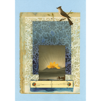 The Comfort of Crows (Reese's Book Club Pick): A Backyard Year