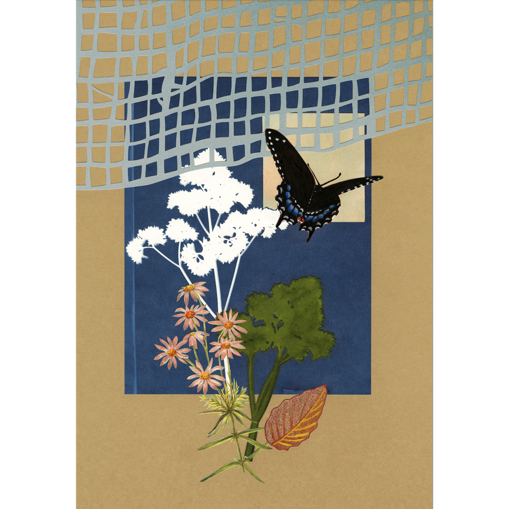 The Comfort of Crows (Reese's Book Club Pick): A Backyard Year