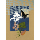 The Comfort of Crows (Reese's Book Club Pick): A Backyard Year