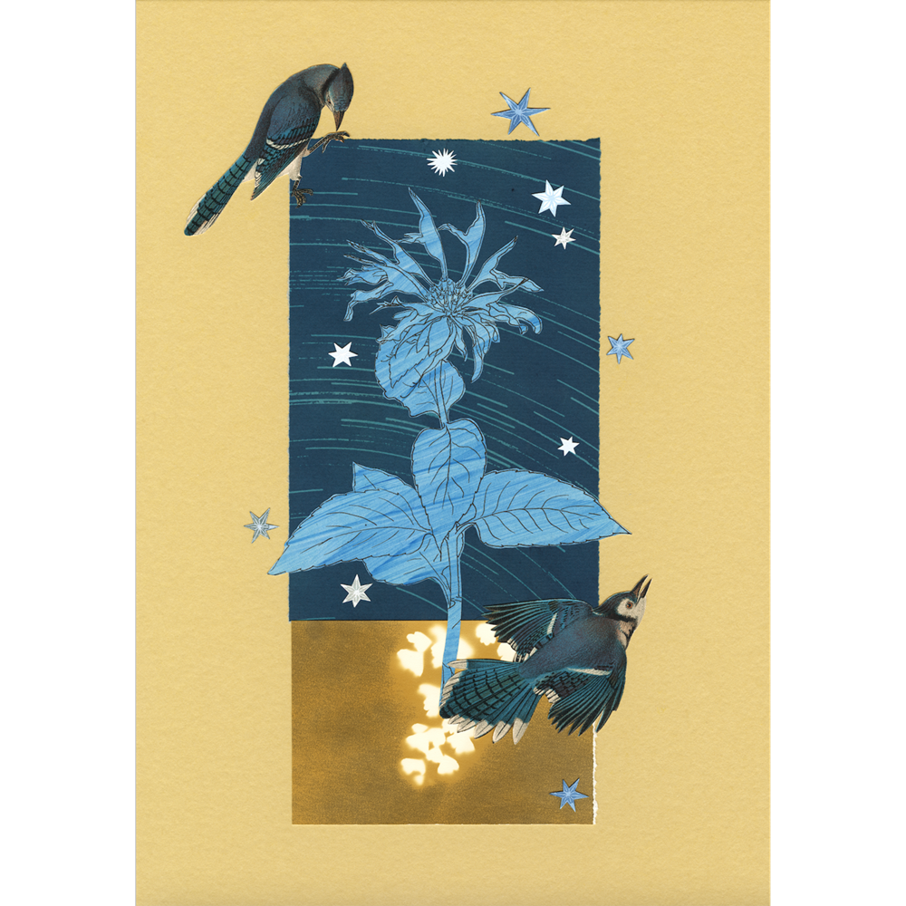 The Comfort of Crows (Reese's Book Club Pick): A Backyard Year