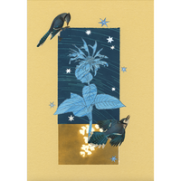 The Comfort of Crows (Reese's Book Club Pick): A Backyard Year