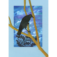 The Comfort of Crows (Reese's Book Club Pick): A Backyard Year