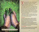 The Game Master's Deck of Boons and Banes: 40 game-changing, character-shifting cards and a companion book for 5th edition RPG adventures (The Game Master Series)