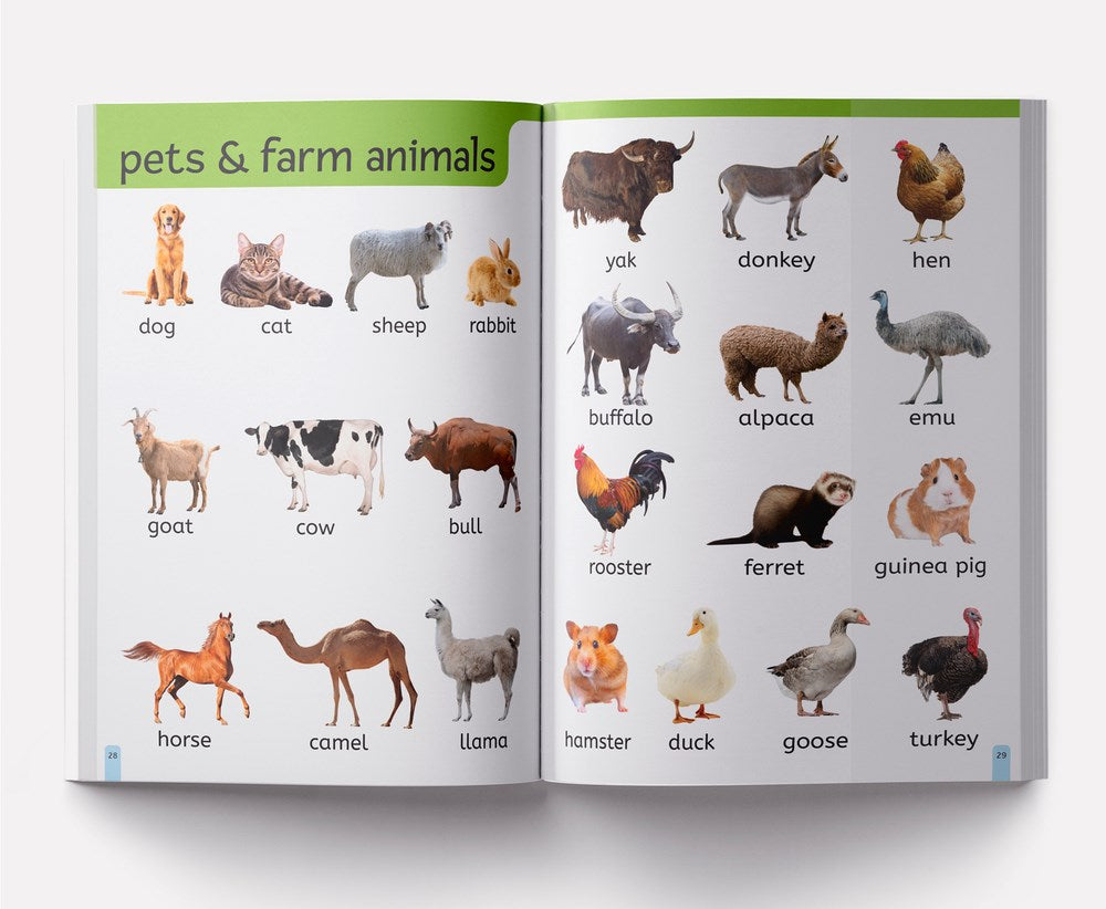 My First 1000 Words: Early Learning Picture Book