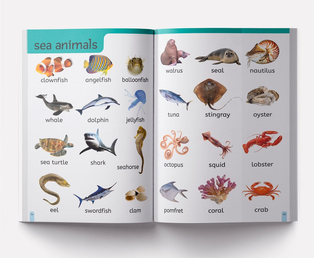 My First 1000 Words: Early Learning Picture Book