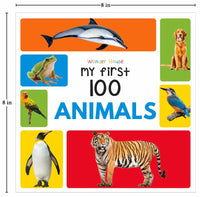 My First 100 Series Boxset