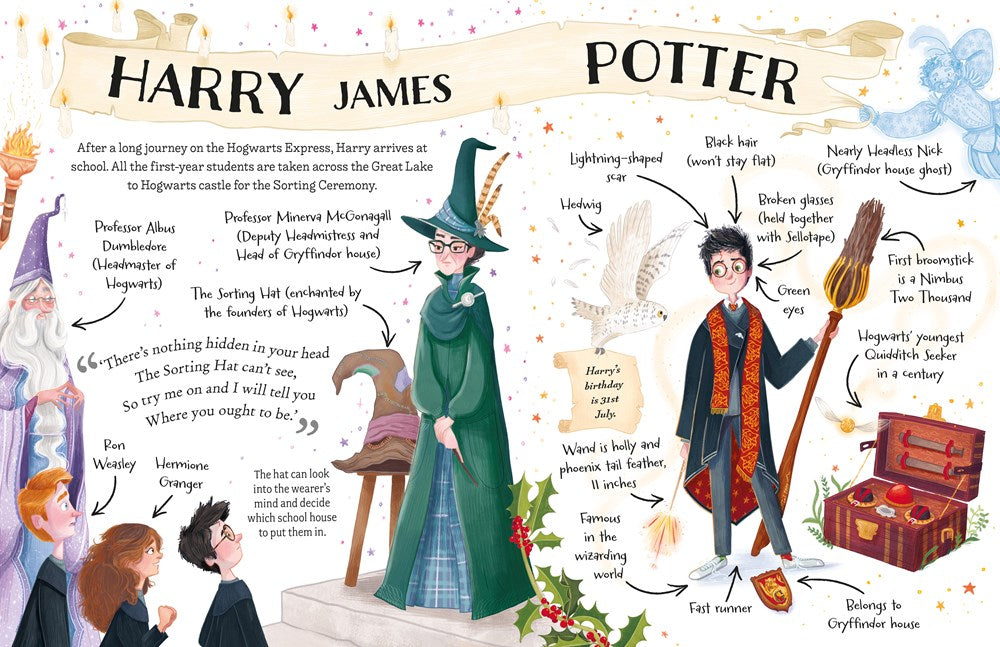 Pocket Potters: Harry Potter (Little Guides to the Harry Potter Books #1)
