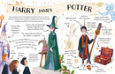 Pocket Potters: Harry Potter (Little Guides to the Harry Potter Books #1)