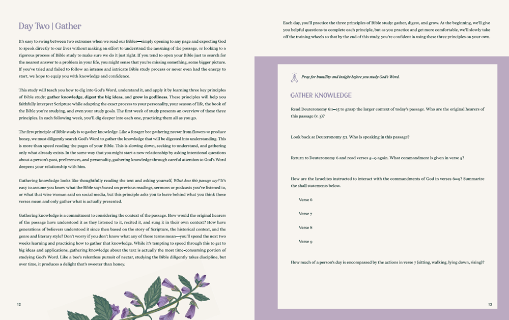 Sweeter than Honey: A Bible Study on Enjoying God in His Word