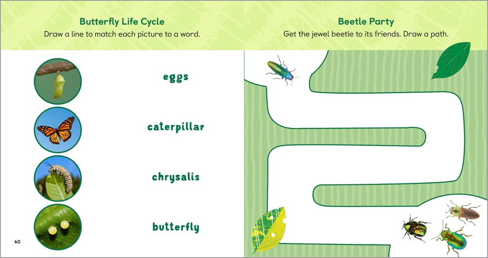 The Backyard Bug Book for Kids: Storybook, Insect Facts, and Activities (Let's Learn About Bugs and Animals)
