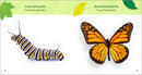 The Backyard Bug Book for Kids: Storybook, Insect Facts, and Activities (Let's Learn About Bugs and Animals)