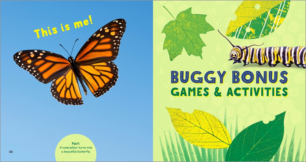 The Backyard Bug Book for Kids: Storybook, Insect Facts, and Activities (Let's Learn About Bugs and Animals)
