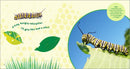 The Backyard Bug Book for Kids: Storybook, Insect Facts, and Activities (Let's Learn About Bugs and Animals)