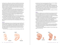 Mayo Clinic Guide to a Healthy Pregnancy, 3rd Edition: Evidence-Based Insight and Real-Life Tips for Expecting Parents, from the World's Leading Medical Experts (Mayo Clinic Parenting Guides)