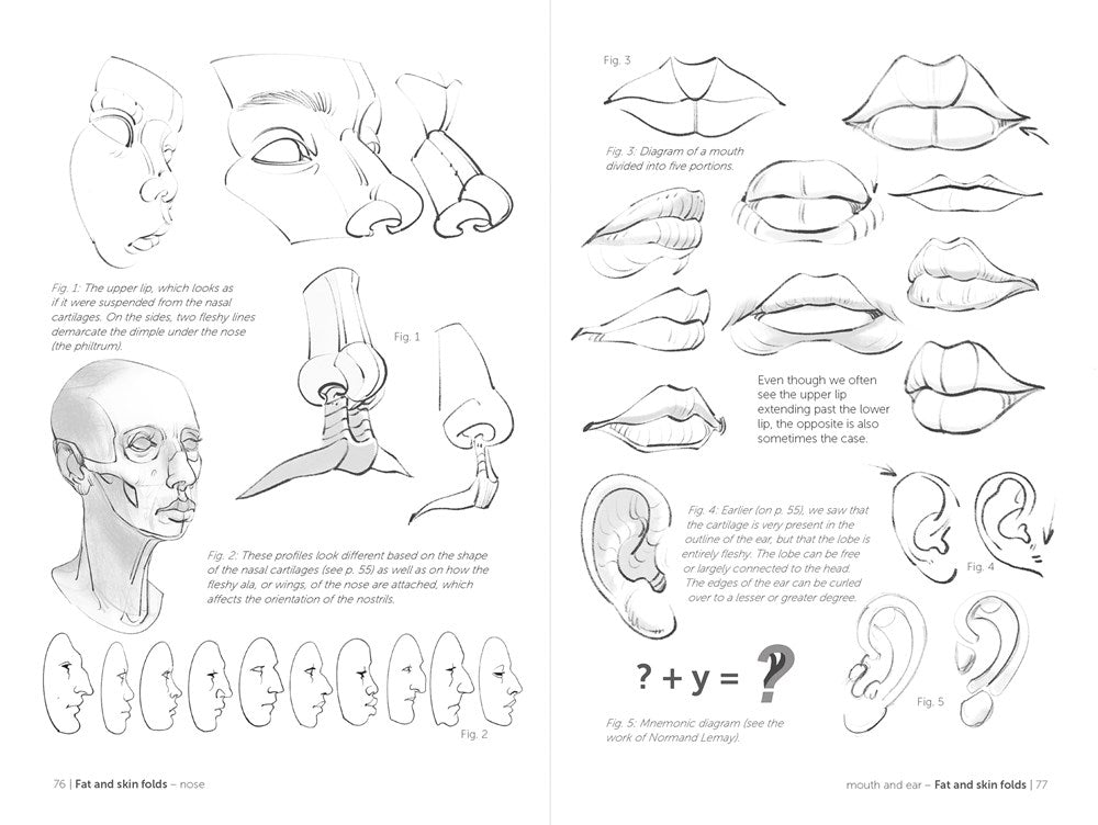 Morpho: Face, Head, and Neck: Anatomy for Artists (Morpho: Anatomy for Artists, 10)