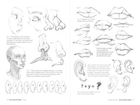 Morpho: Face, Head, and Neck: Anatomy for Artists (Morpho: Anatomy for Artists, 10)