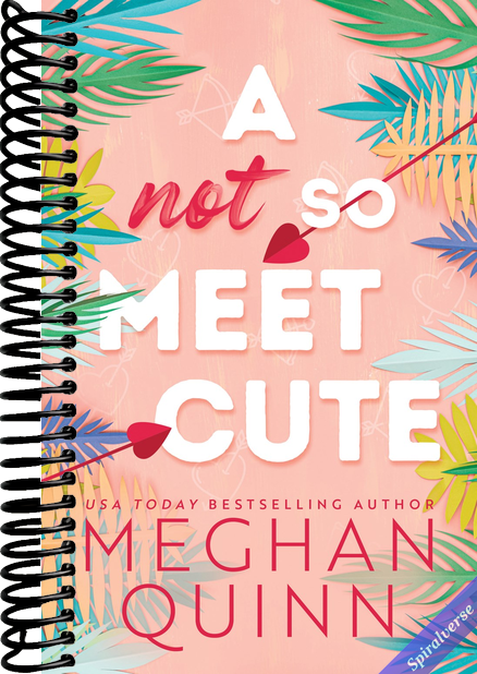 A Not So Meet Cute (Cane Brothers, 1)