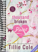 A Thousand Broken Pieces (Boy Kisses, 2)