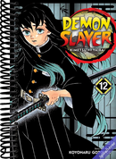 Demon Slayer: Kimetsu no Yaiba, Vol. 12
