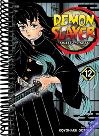 Demon Slayer: Kimetsu no Yaiba, Vol. 12