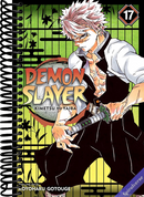 Demon Slayer: Kimetsu no Yaiba, Vol. 17